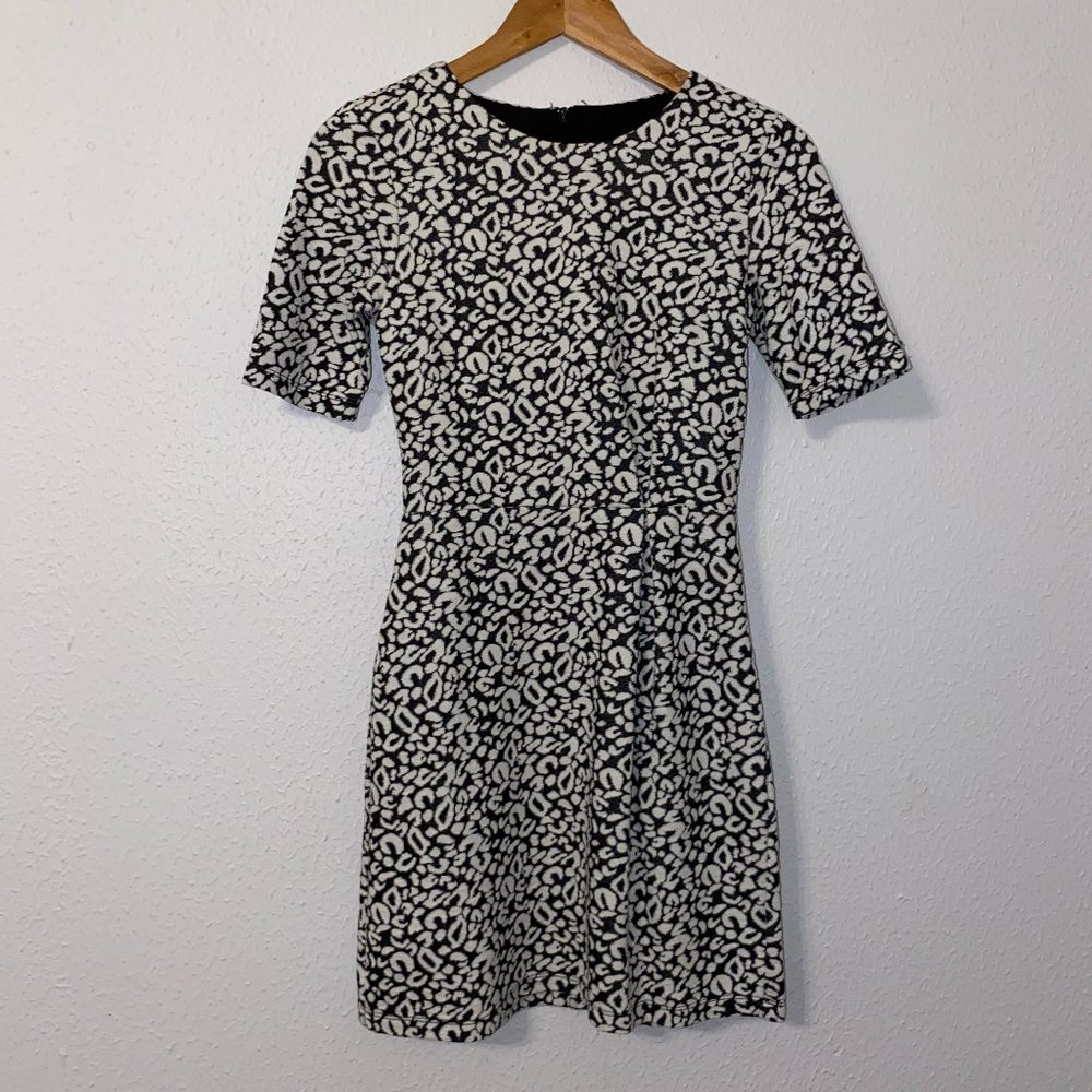 Cheetah print H&M dress, black and white, size 4